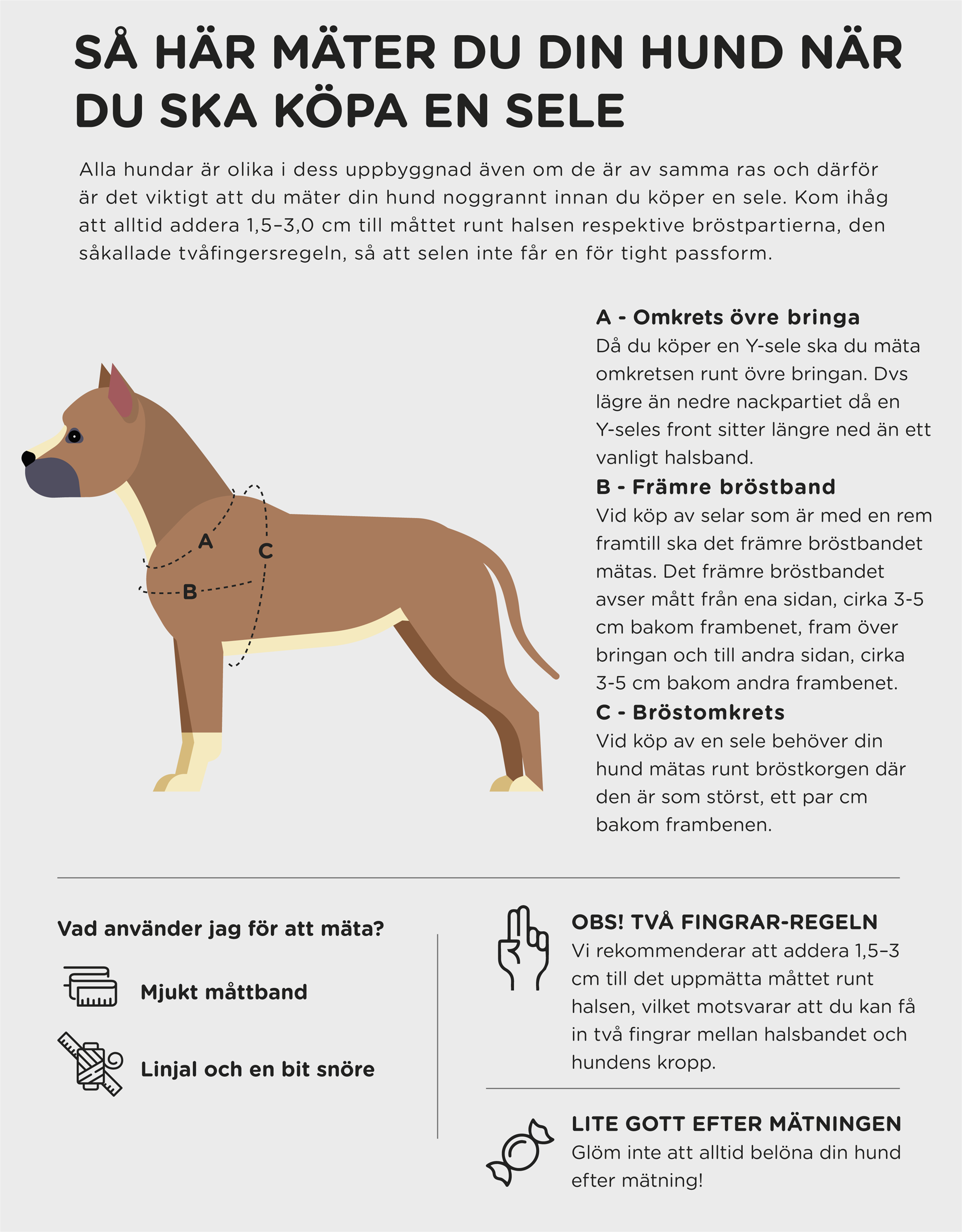 Hundesele Signature Go Sennepsgul – Denjo Dogs