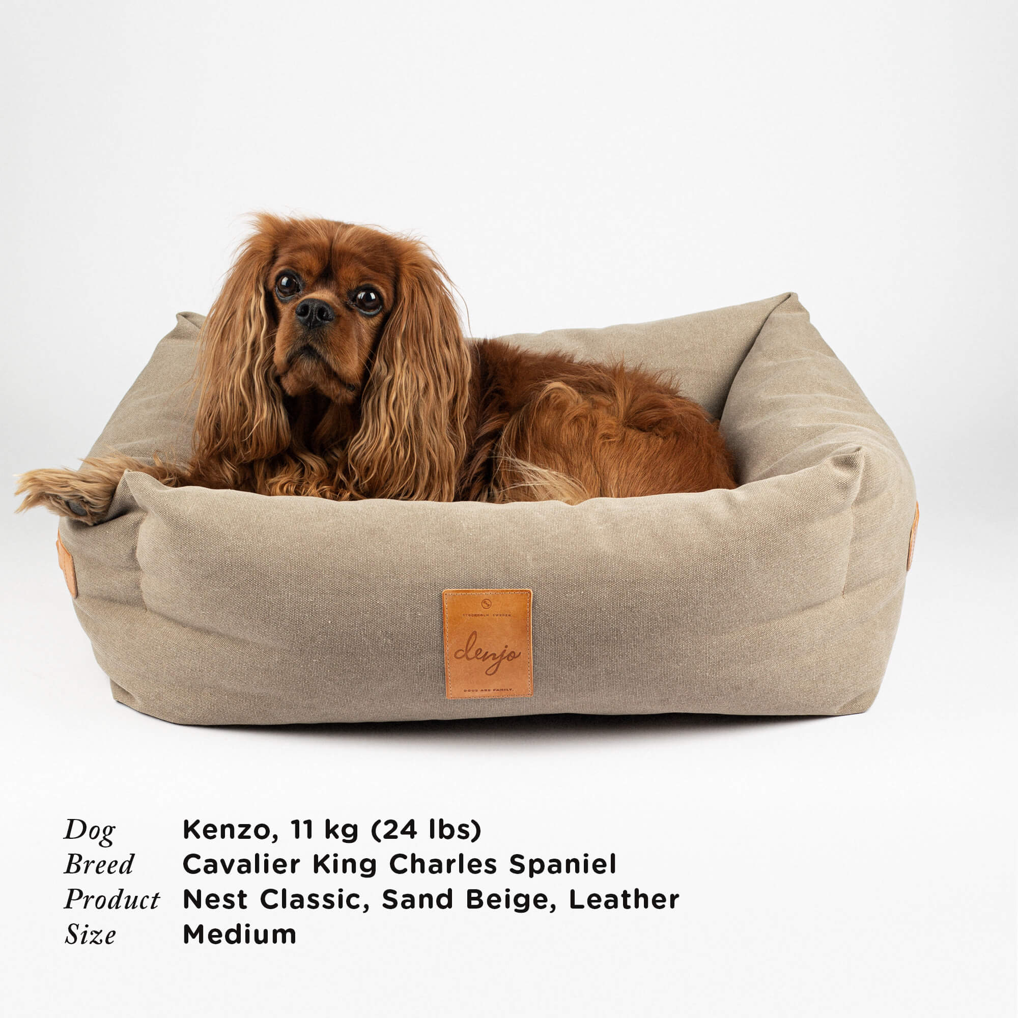Hundeseng Classic Nest med lærdetaljer Sand Beige – Denjo Dogs