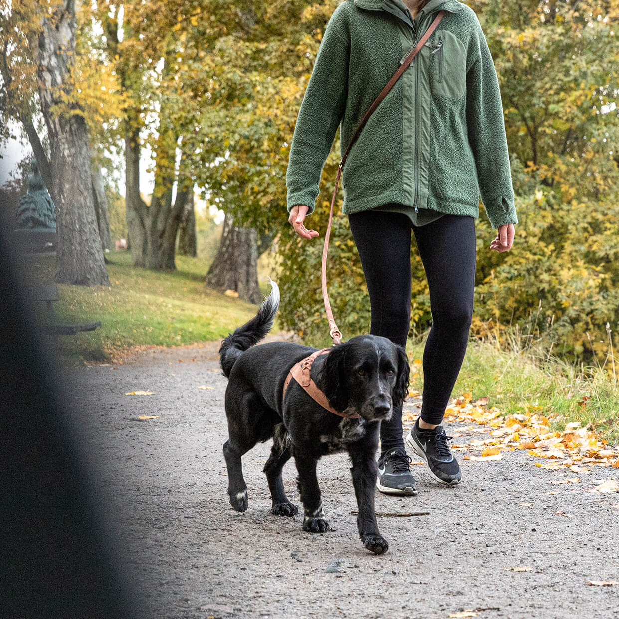 Hundesele Stockholm Lær Hazel – Denjo Dogs