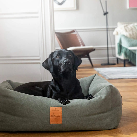 WePet.no Hundeseng Classic Nest med Lærdetaljer Desert Green – Denjo Dogs